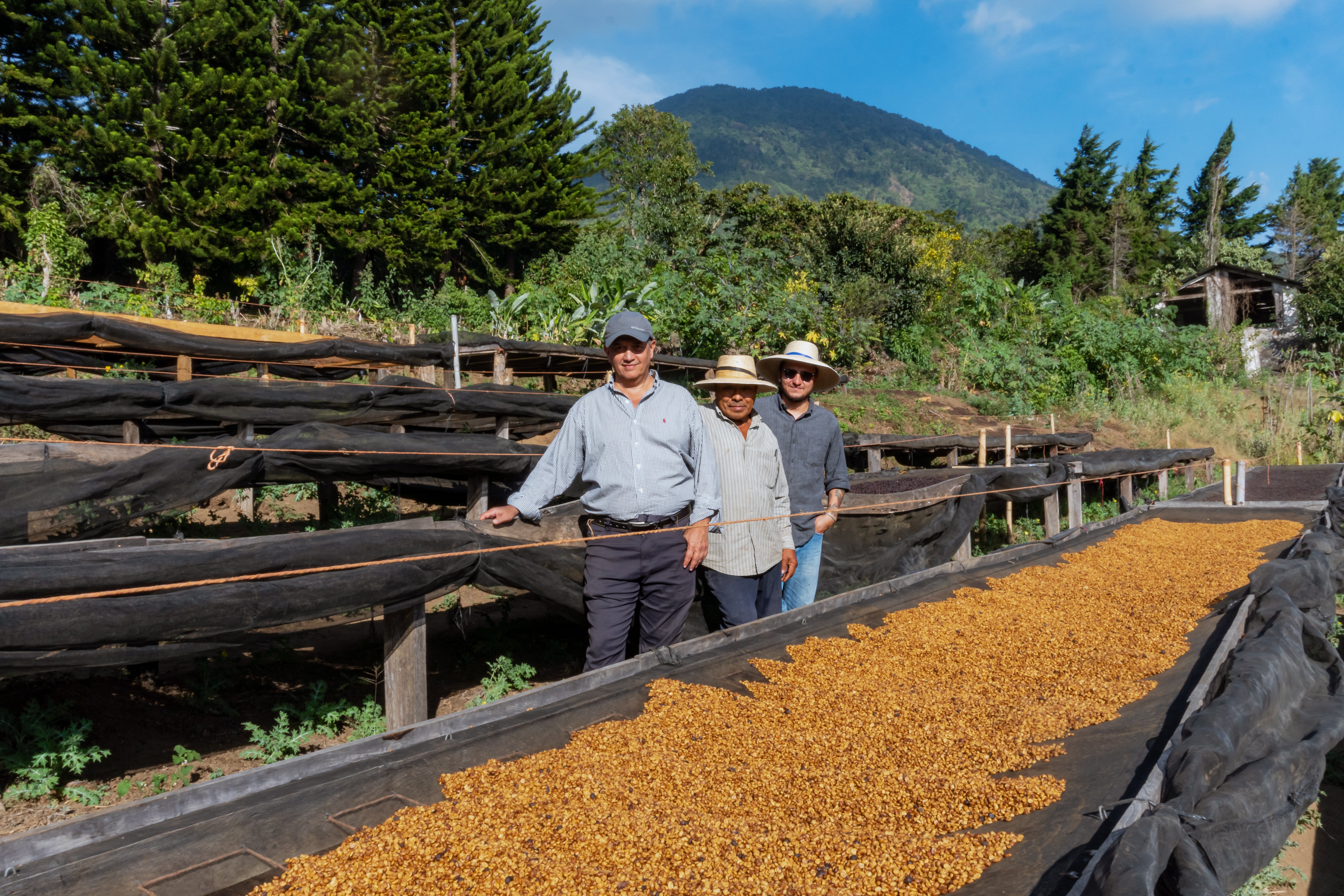 SUCAFINA - Carlos Pola - Las Brisas-21